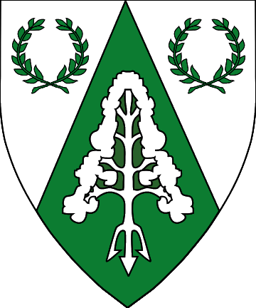 Barony of forgotten sea